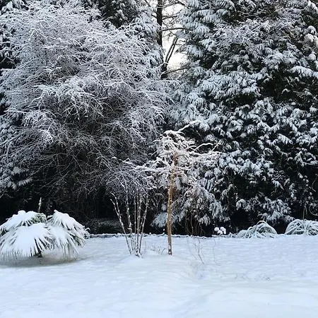 Maisonnette La Petite Jeanne Holiday home *