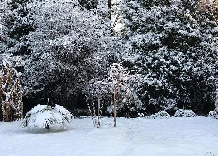 Maisonnette La Petite Jeanne Holiday home *